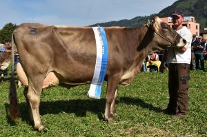 5DSC_4196